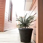 Apartmanhotel Housing - Bergelandsgata 13